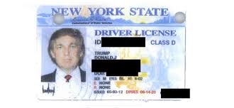 Born 15 october 1994), professionally known as lil' kleine (pronounced lɪl ˈklɛi̯nə), is a dutch musician and actor. Trump Liegt Zelfs Over Zijn Lengte Wel Nl