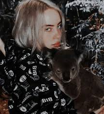 Pin By Daniela Gjeli On Billie Eilish Koala Bear Koala Billie