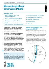 What are the symptoms of prostate cancer? Metastatic Spinal Cord Compression Mscc Prostate Cancer Charity