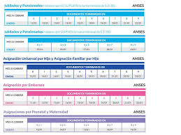 Cómo queda el calendario de agosto para bonos únicos. Calendarios De Pago Del Mes De Enero De Anses