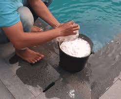 Menjaga akuarium agar tetap jernih bisa juga dengan cara memelihara algae eater. Menjaga Air Kolam Renang Brayan Pool