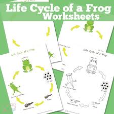 It's so much fun to learn about flowers with these worksheets that teach the life cycle of a flower for preschool. Life Cycle Of A Frog Worksheet Itsybitsyfun Com