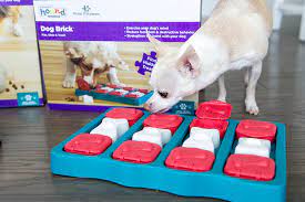 They are all intended to be used under supervision, which helps build your bond. Top 11 Dog Puzzles Your Pooch Will Love Proud Dog Mom