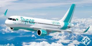 استعلام عن حجز طيران ناس برقم التذكرة Flynas السعودية ناين