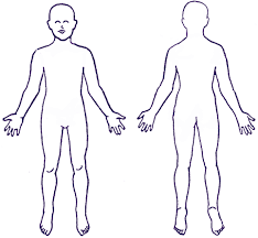 Full Body Diagram Medical Chart Wiring Diagrams