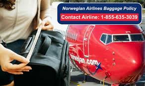 norwegian airlines bage policy