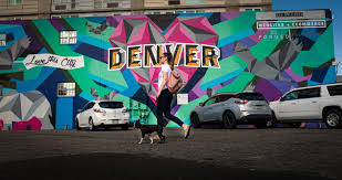 Pet stores landscaping equipment & supplies paint. The Best Dog Friendly Denver Restaurants Parks Hikes And More