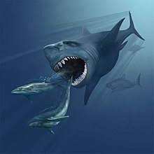 Megalodon Wikipedia