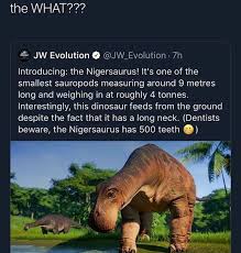 Usually, the meme is popular because the question has a really bizarre and totally hilarious answer, but recently, this type of meme has taken a much darker turn. Pin On Sonic