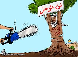 اقتحمت قوات الاحتلال الإسرائيلي، الخميس، منزل عائلة الكرد الفلسطينية المهددة بالإخلاء لصالح المستوطنين، في حي الشيخ جراح بالقدس المحتلة. 6amatjpttuc8m