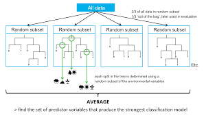 It can be used to classify loyal loan applicants, identify fraudulent activity and. Random Forest Bccvl