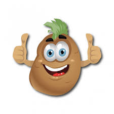 Dzień Ziemniaka - Szkolna 13