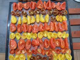 Deshydrater Les Fruits Et Legumes Passion Potager Recettes Nourriture Deshydratee Recettes De Cuisine Recette Avec Tomates Sechees