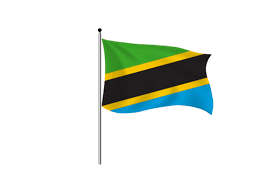Download Flag of Tanzania | Seek Flag