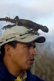 martine with dead iguana