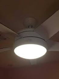 With so many options, how do you pick which one is best for you? Hampton Bay Ceiling Fan Light Bulbs Dual Ceiling Fan