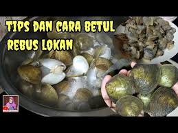 We would like to show you a description here but the site won't allow us. Moktih Channel Litetube