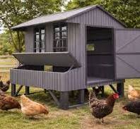 Rugged Ranch Amish Style Chicken Coop, 10 Chicken Capacity, 4 x 6ft. Set