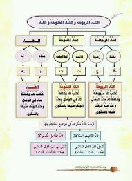 دروس اللغة العربية التاء المفتوحة والتاء المربوطة والهاء