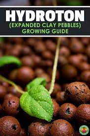 We did not find results for: Expanded Clay Pebbles Or Hydroton Are One Of The Most Popular Types Of Growing Media Learn Hydroponic Grow Systems Clay Pebbles For Plants Planting In Clay