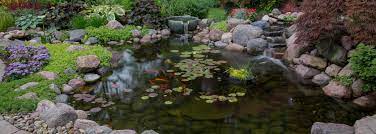 Another advantage of adding stones to the . Koi Ponds Water Gardens Water Features By Hoaglandscape