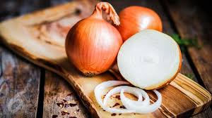 Hasil gambar untuk bawang bombay