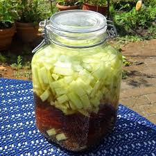 Likor Selber Machen Rezept Likor Selber Machen Gurke Getranke Rezepte