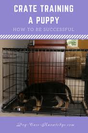 When i get a new puppy, i put him or her in a crate on top of a chair beside my bed at night. Crate Training A Puppy This Is How To Be Successful At It