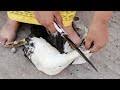Check spelling or type a new query. ØªØ­Ù…ÙŠÙ„ Ø£ØºÙ†ÙŠØ© Ù†Ø³Ø§Ø¡ ØªØ°Ø¨Ø­ Ø¨Ø· Mp3 Mp4
