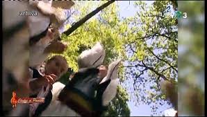 Benone sinulescu si orchestra lautarii prin padure pe carare #noroctv toate drepturile sunt rezervate. Benone Sinulescu In Cadrul Emisiunii Cantec Si Poveste Tvr 3 11 04 2020 Video Dailymotion