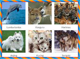 We did not find results for: Daftar Nama 51 Binatang Mamalia Nama Gambar Binatang A Z