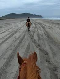 Horseback Adventures Washington Beaches Long Beach Washington Beach Rides