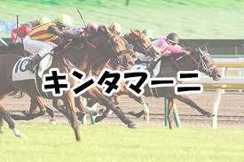 Check spelling or type a new query. æ€ã‚ãš2åº¦è¦‹ ã‚¯ã‚»ã®å¼·ã™ãŽã‚‹ç«¶èµ°é¦¬ã®åå‰ãƒ©ãƒ³ã‚­ãƒ³ã‚° ã‚­ãƒ³ã‚¿ãƒžãƒ¼ãƒ‹ ã‚¸ãƒ¼ã‚«ãƒƒãƒ—ãƒ€ã‚¤ã‚¹ã‚­ ãƒã‚³ãƒ'ãƒ³ãƒ ä»– Gooãƒ©ãƒ³ã‚­ãƒ³ã‚°