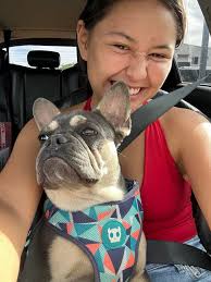 Hi, my name is fern stephens and im a first year student at university of  Bristol. I have moved away from home in Devon and missing my dog so much! I  would