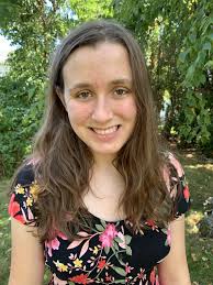 Solo vs guided tour in Ireland: pros and cons?