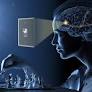 2026 Nobel Prize in Medicine Awarded for Pioneering Optogenetics Research