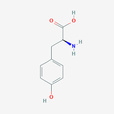 You need a few grams of it to get a good effect. Tyrosine C9h11no3 Pubchem