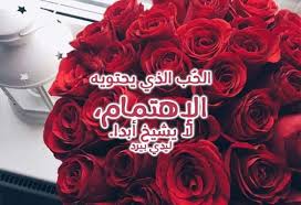 10 عبارات عن الورد الأحمر وحالات للواتس معبرة ونابعة من القلب