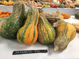Japanese Pie Squash Nature Morte
