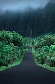 Ho Omaluhia Botanical Garden Oahu Hawaii In 2020 Scenic Scenery Hawaii Travel