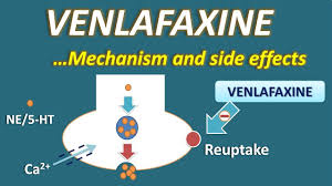 Antidepressants, such as amitriptyline, imipramine, nortriptyline 5. Venlafaxine Mechanism And Side Effects Youtube