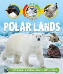 Polar Habitats For Kids Polar Regions Homework Help