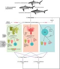 44 hard dot to dot photo ideas. Estimating Marine Protected Area Network Benefits For Reef Sharks Martin 2020 Journal Of Applied Ecology Wiley Online Library
