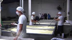 Resultado de imagen de platillos tipicos de pijijiapan