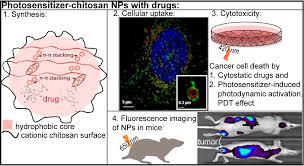 Drug-Loaded Photosensitizer-Chitosan Nanoparticles for Combinatorial Chemo-  and Photodynamic-Therapy of Cancer