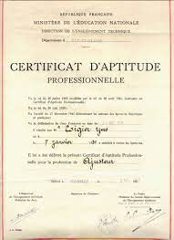 Liste des formations certificat de qualification professionnelle. Certificat D Aptitude Professionnelle Wikipedia
