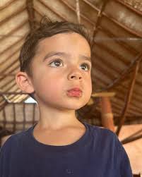 Sergio Mariscal (@chekomariscal) • Instagram photos and videos