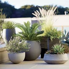 44 Magnificent Modern Container Gardening Ideas Flowerpots Containergardeningideas Containergardening Plants Outdoor Planters Modern Garden