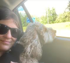 Back from 15 days in Palm Springs with my moms and Bella 🐶