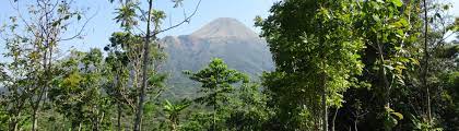 Raya kedep, tlajung udik, gn. Gunung Penangunggan Gunung Bagging